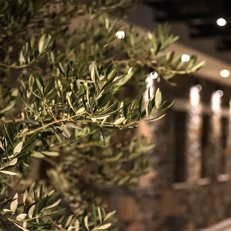 Petousis & Hotel Amoudara Lasithiou